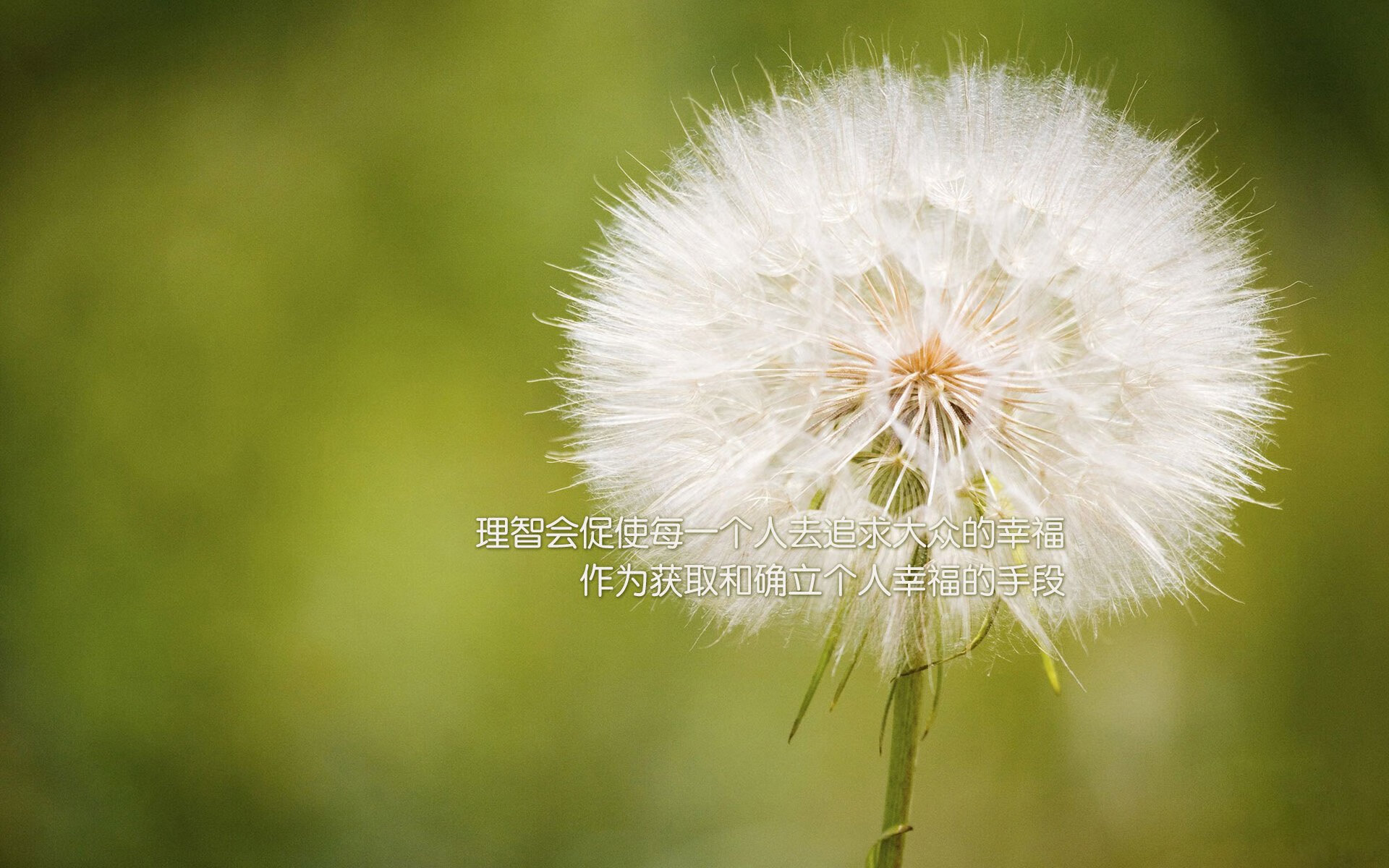 九游(jiuyou)官方网站-_全民运动节：休闲与竞技结合的欢乐嘉年华_，全民体育运动项目