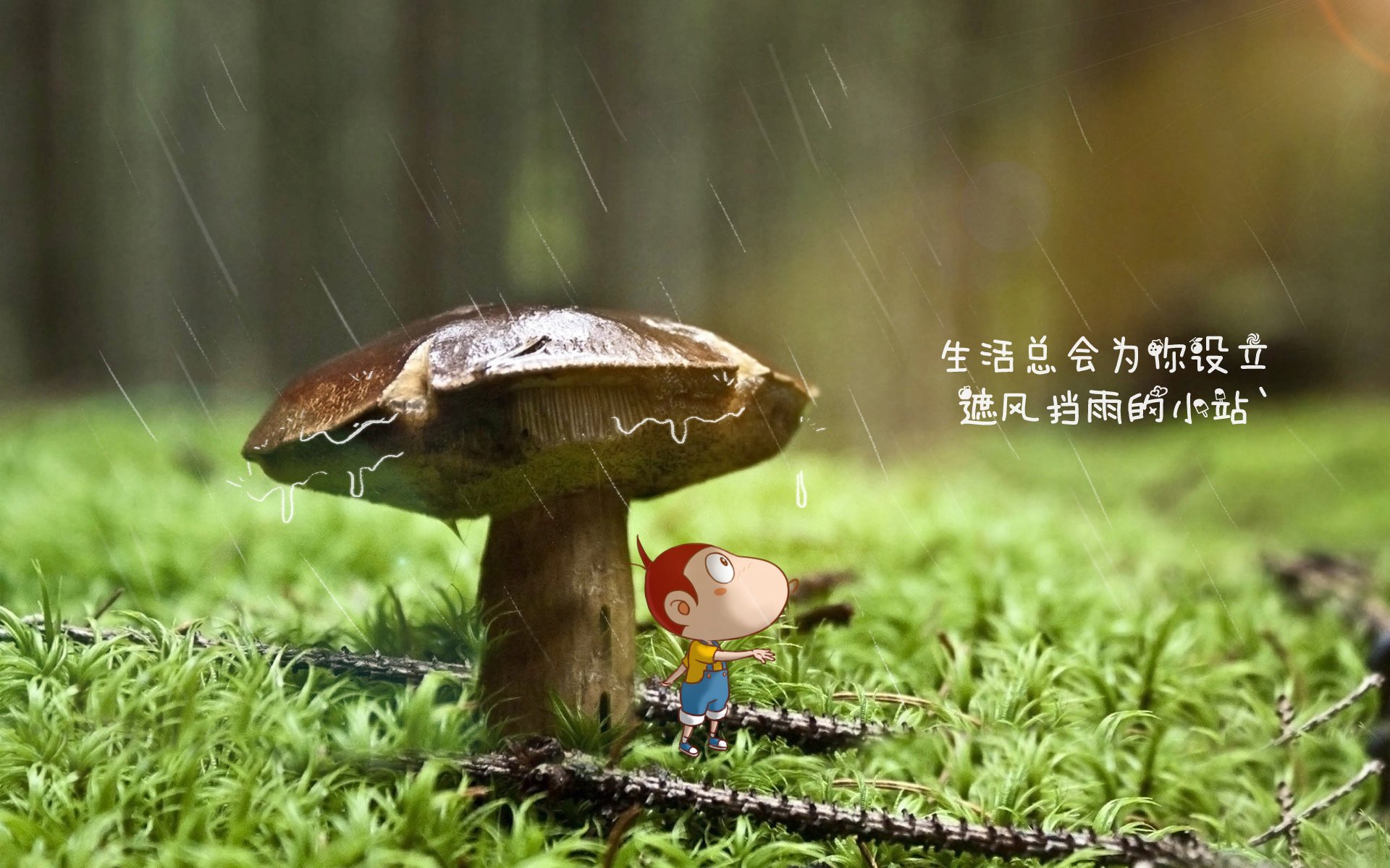九游（jiuyou.com）游戏-_裁判判罚引争议，比赛高潮迭起_，裁判过程
