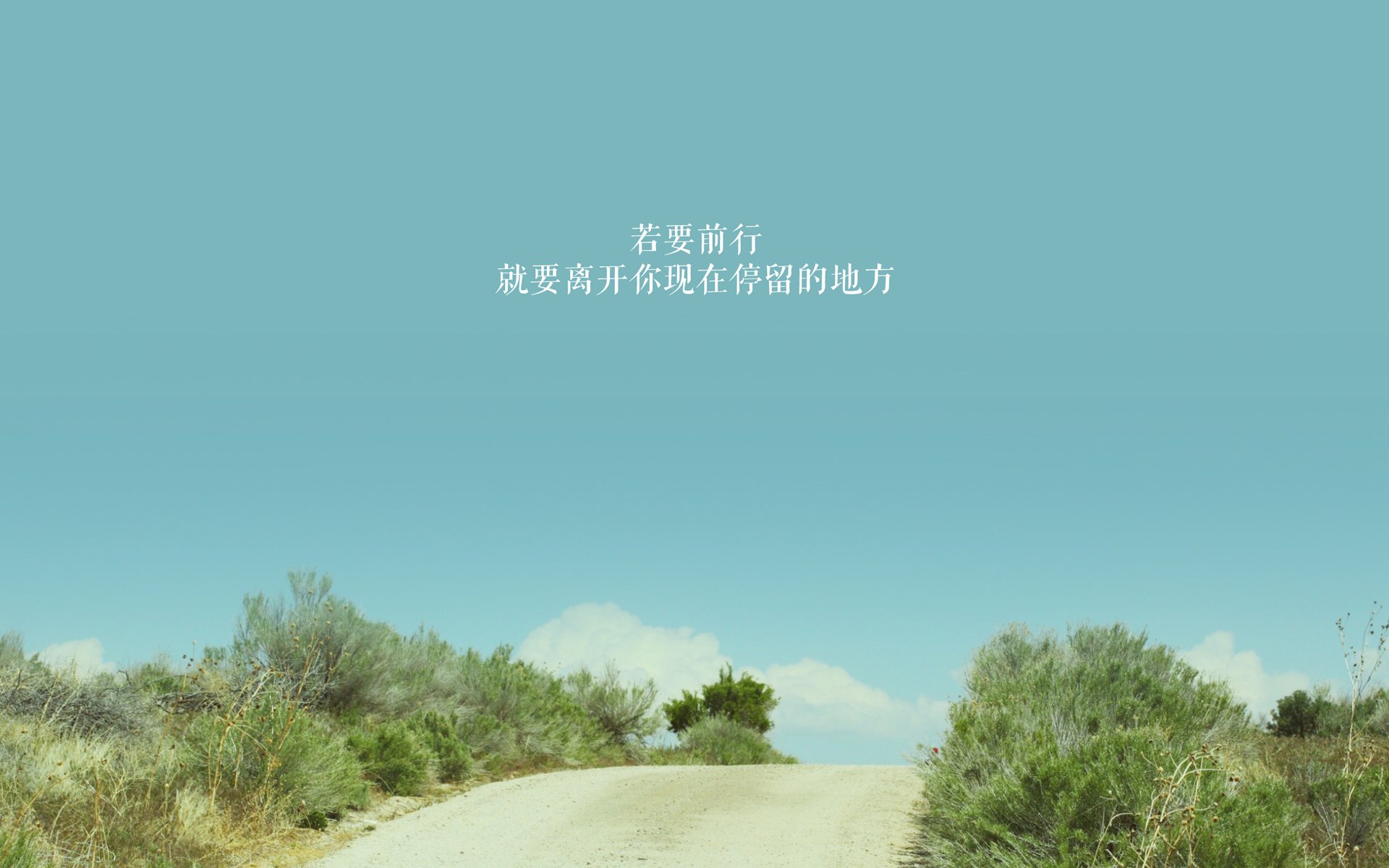九游app官网下载-《电竞志愿者：幕后英雄的故事》，电竞人物志theshy