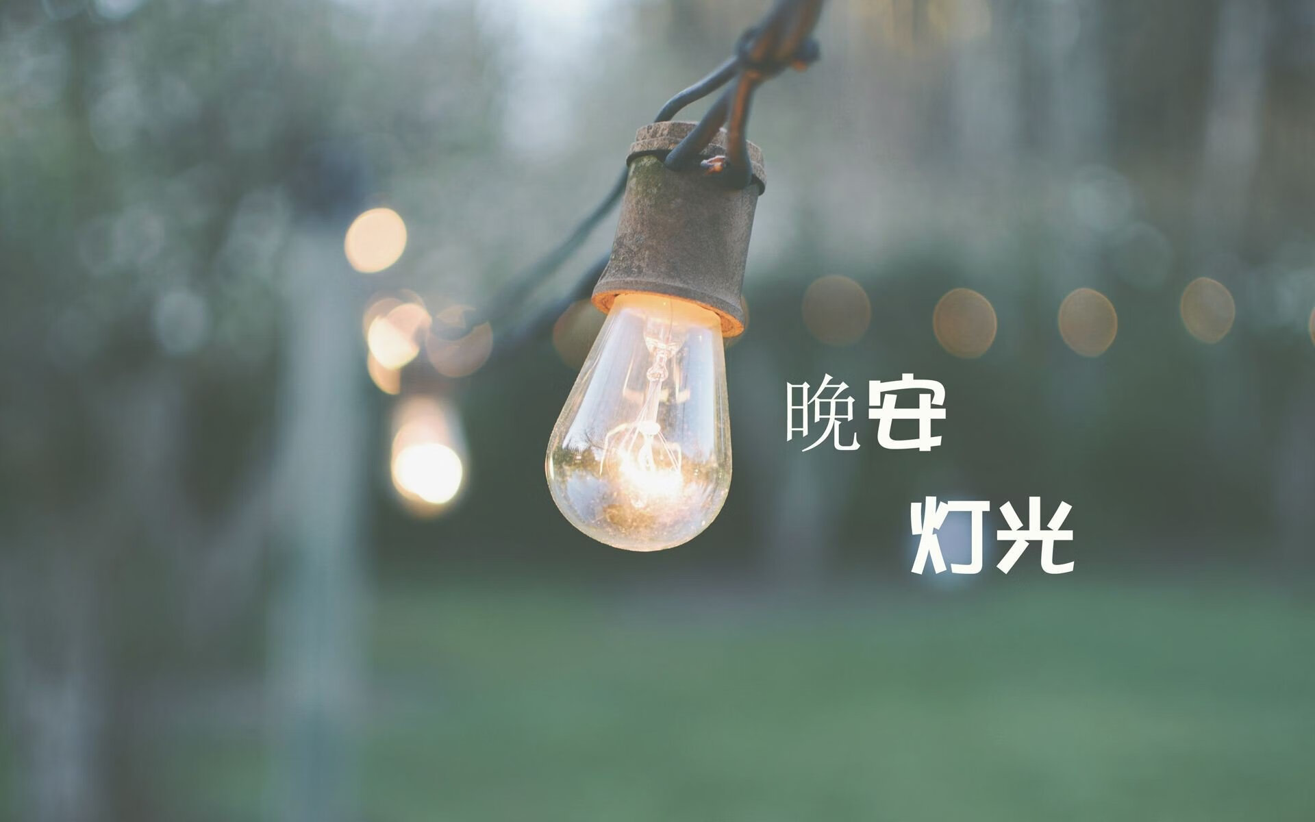 德国马术协会与科技公司合作，开发虚拟现实训练平台，提升骑手技能。