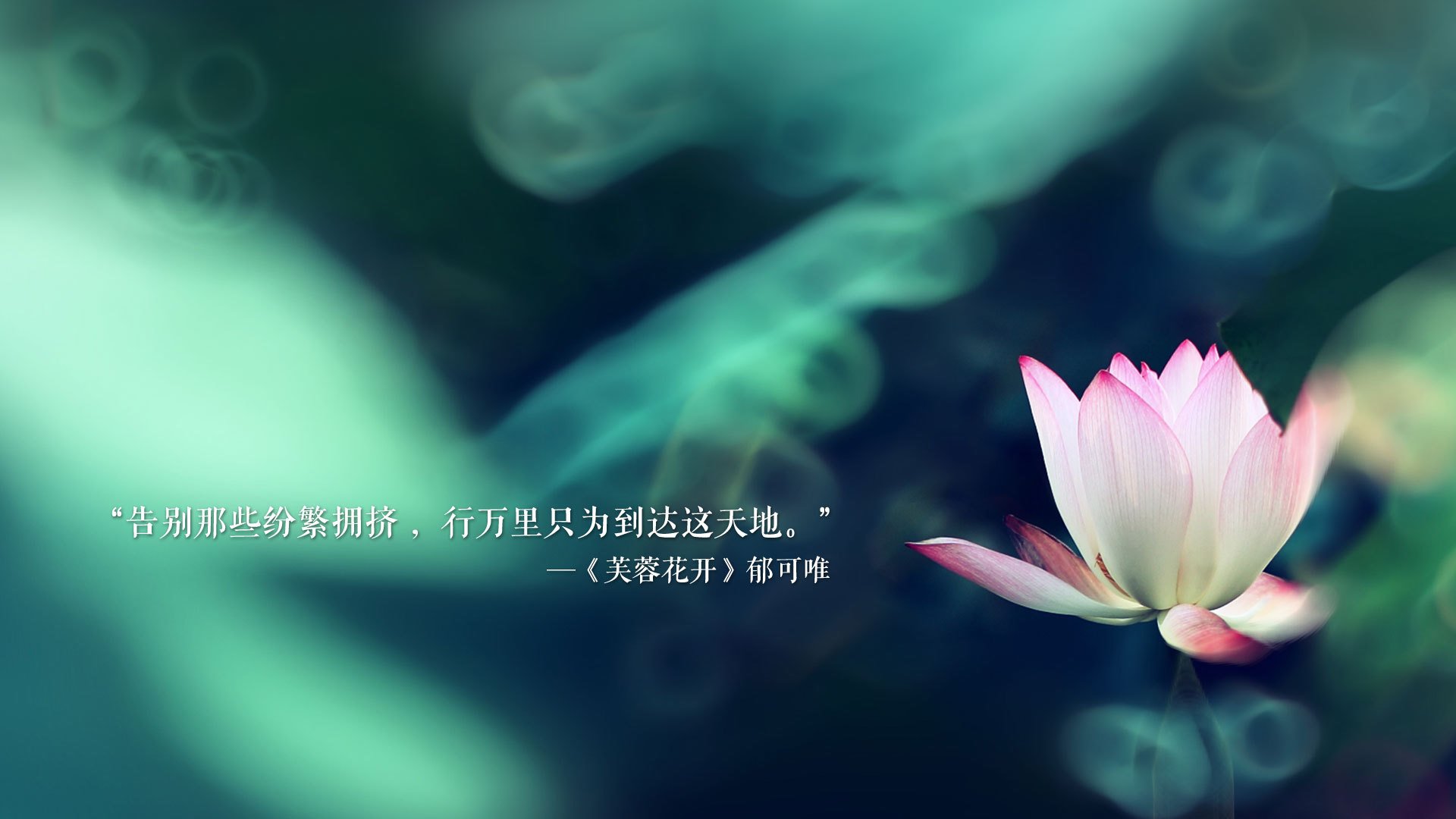 九游app官网下载-拉齐奥士气高昂，塞维利亚球迷信心满满，塞维利亚对阿拉维斯聚胜顽球汇
