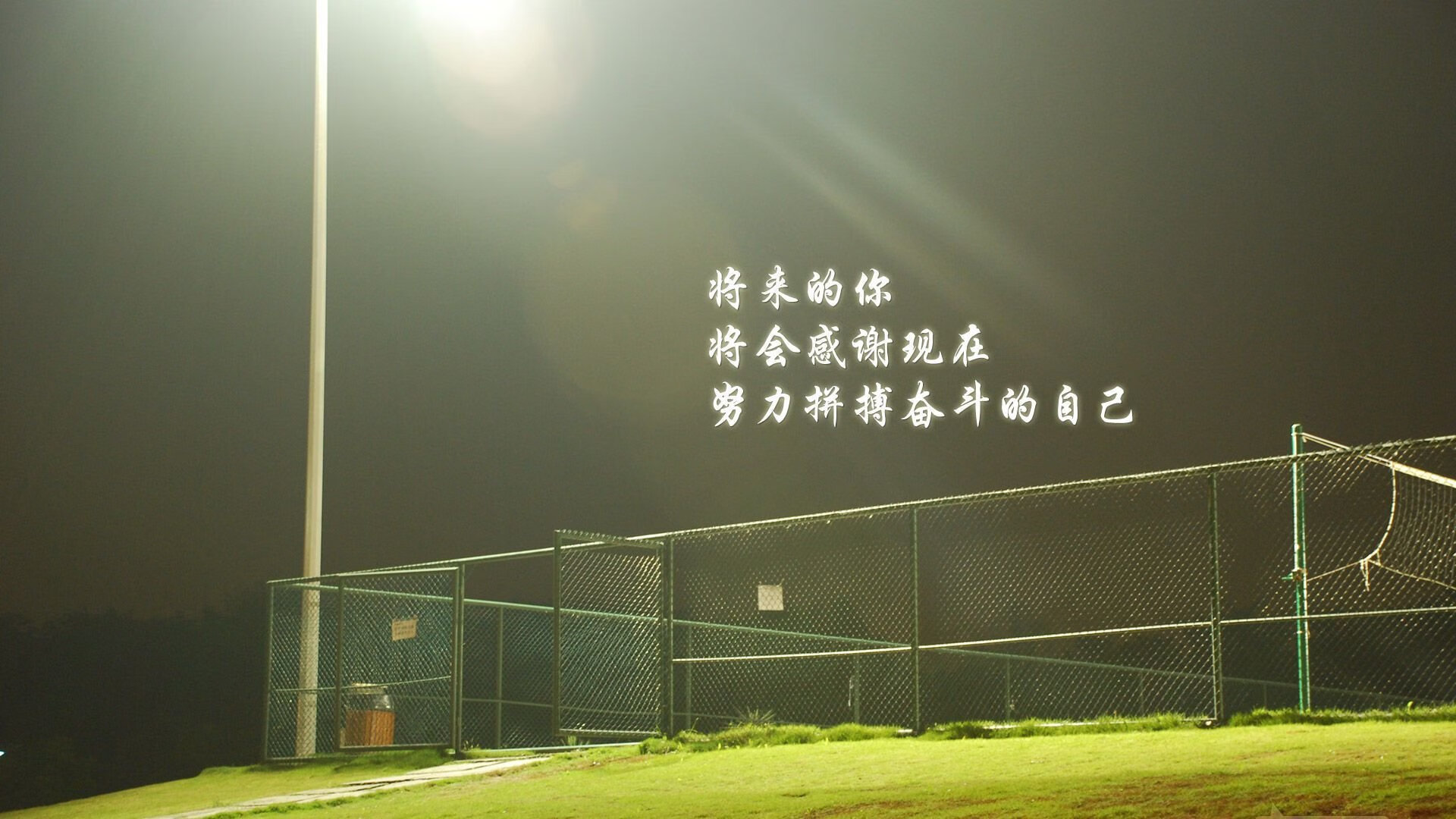 美洲队备战墨西哥联赛杯，力争夺冠，墨西哥美洲队实力