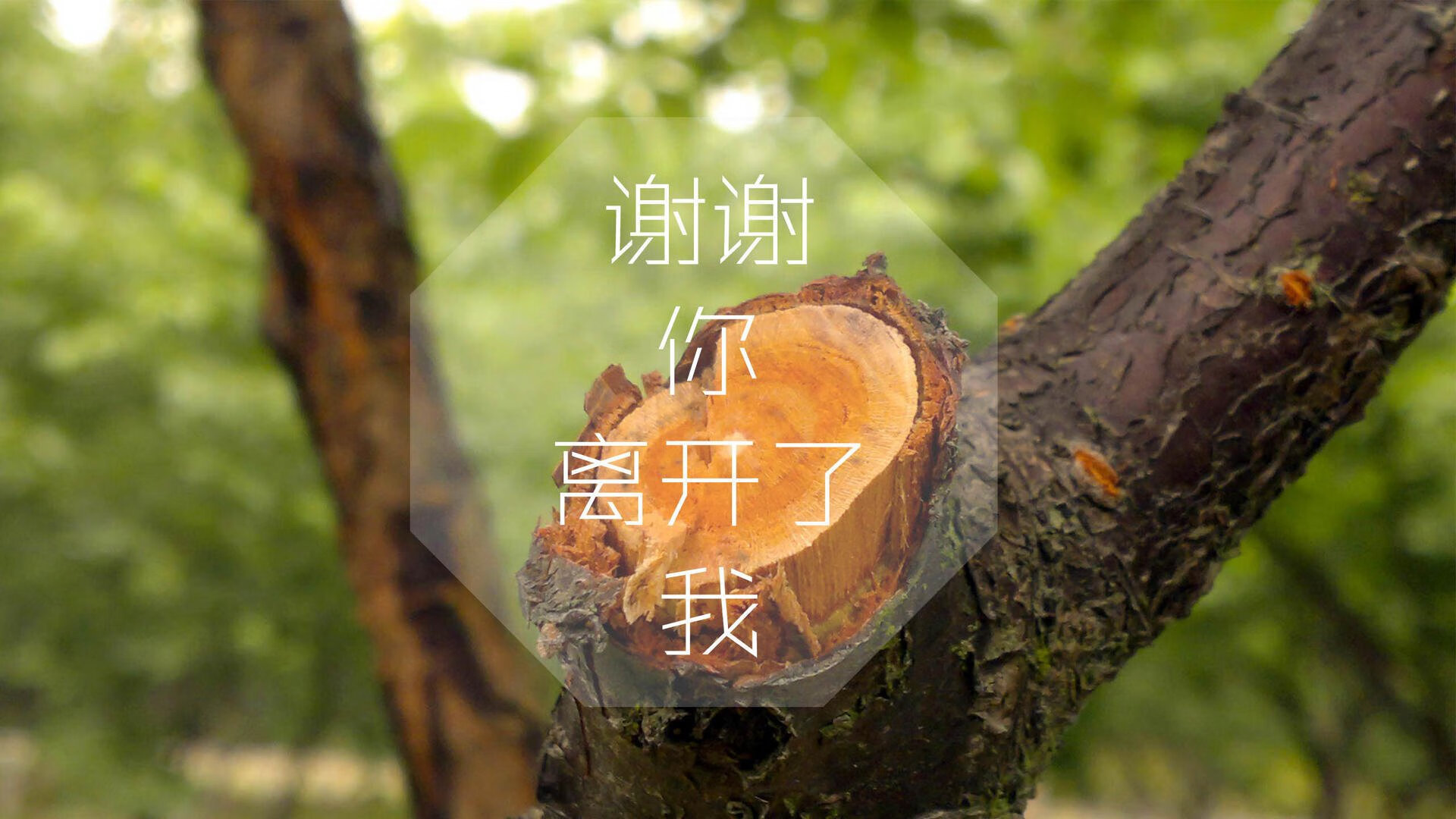 九游登录入口-美洲队客场表现稳定，积分稳步提升，美洲球队实力排名