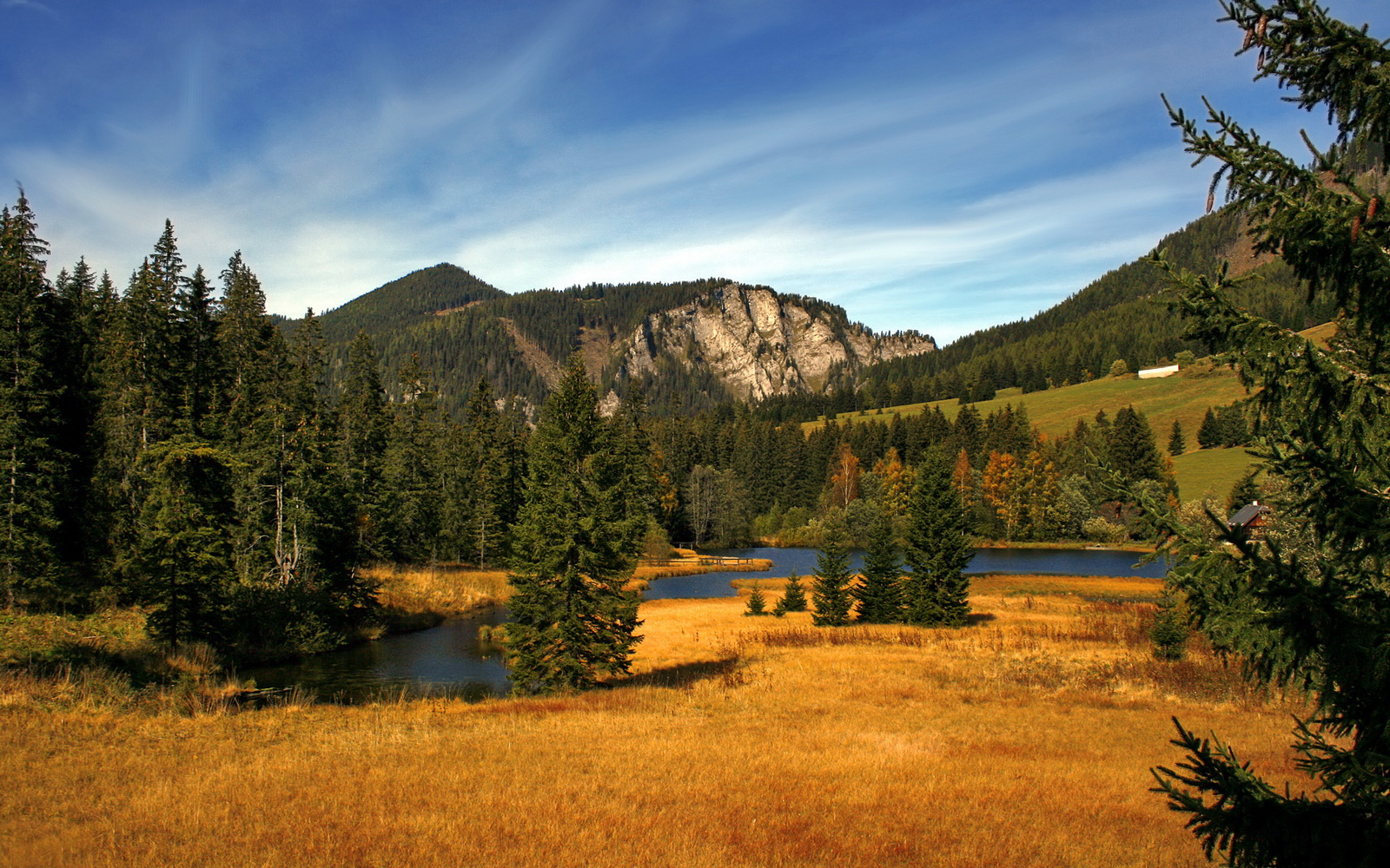 国家女篮赛季表现稳定全队状态逐渐提升,女蓝国家队