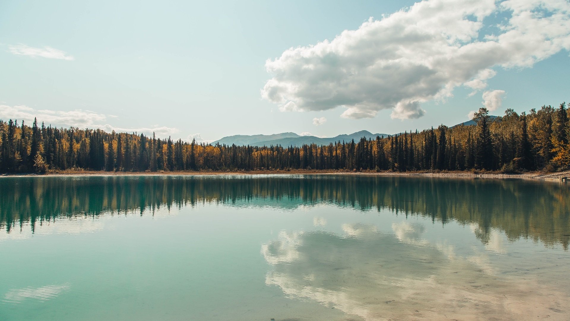 九游（jiuyou.com）游戏-校园足球活动普及力度不断加大，校园足球活动实施方案