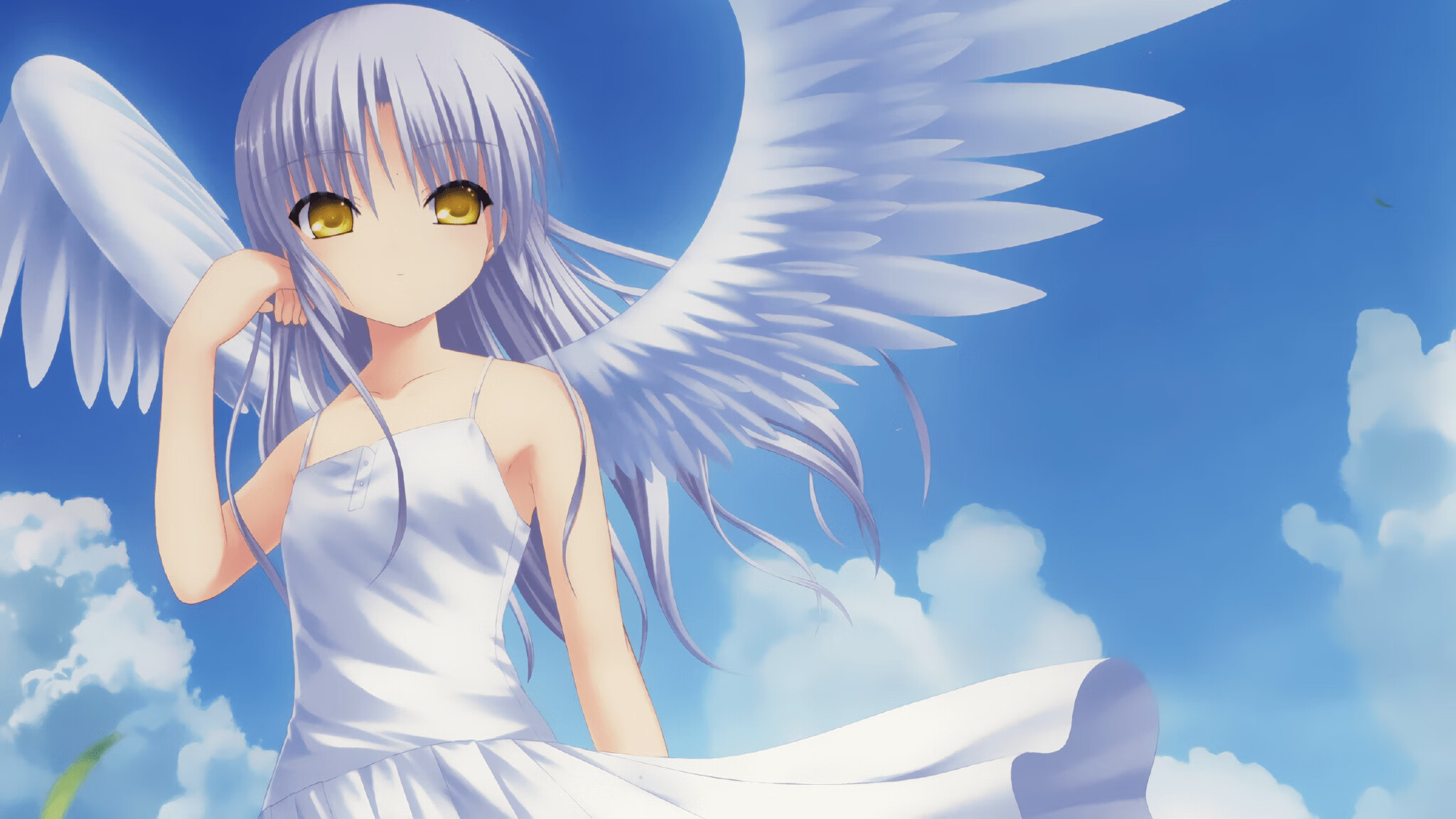 职业联赛主客场制度执行存在漏洞，主客场与赛会制