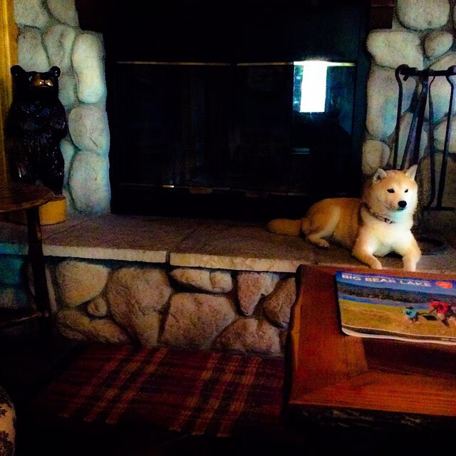 九游娱乐(jiuyou)官方网站-蝶泳转身效率助力选手成绩提升，蝶泳转体