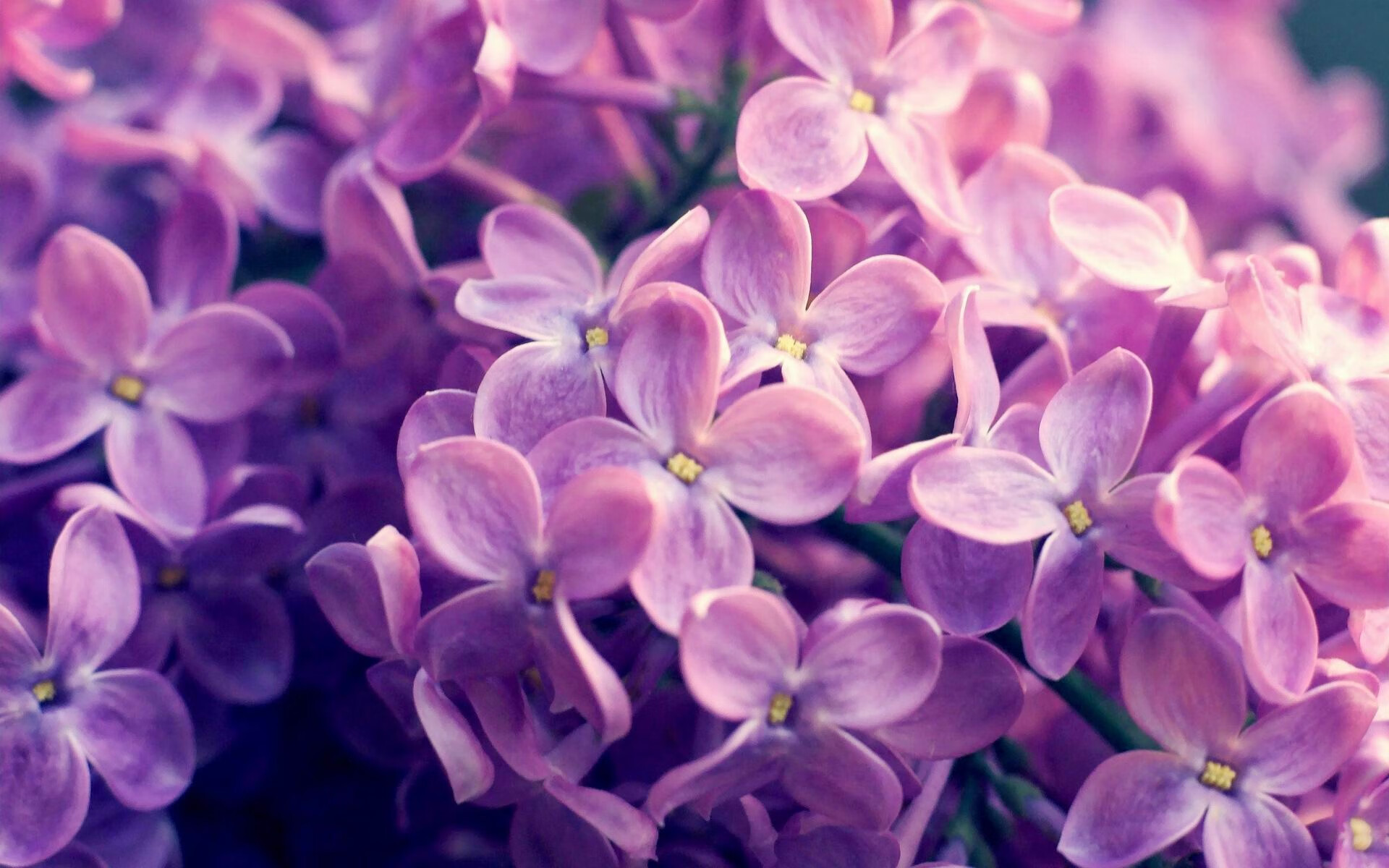 城市篮球文化节设立主题馆展示篮球发展历史与未来展望，篮球馆愿景