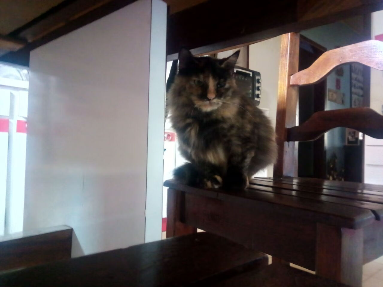 九游下载中心-法甲场面火爆：攻防精彩瞬间不断出现，法甲推荐