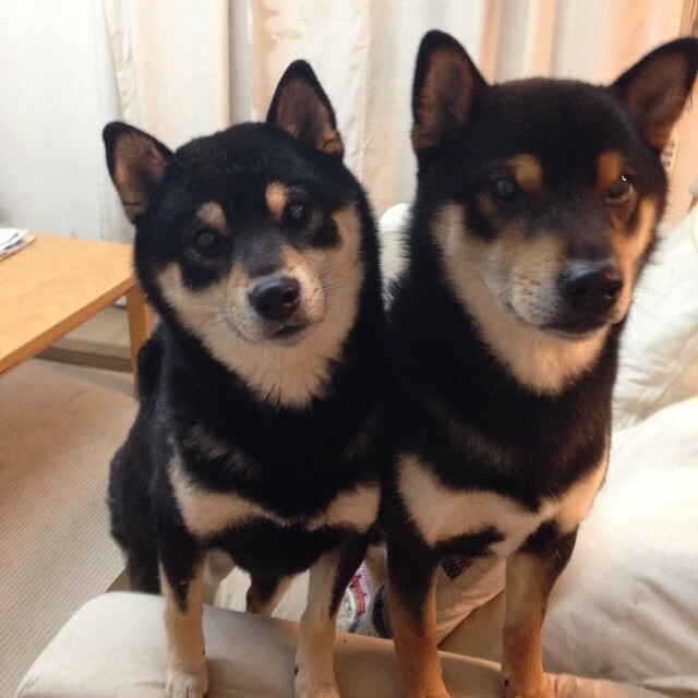 球员达成里程碑得分,俱乐部为其举办庆祝活动,球队lee