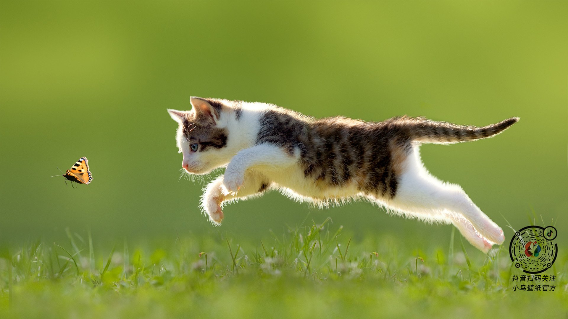 九游网页版官网入口-美洲杯明星战：个人技巧点燃全场，美洲杯人气